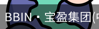 BIN宝盈集团
